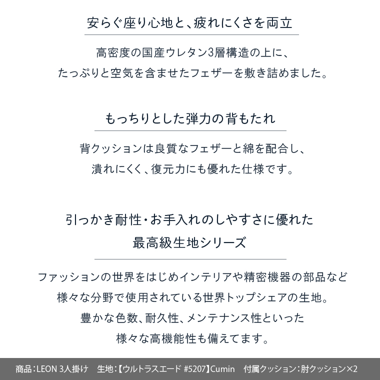 460195002 blocco LEON（レオン）3人掛け［肘クッション×2個付き