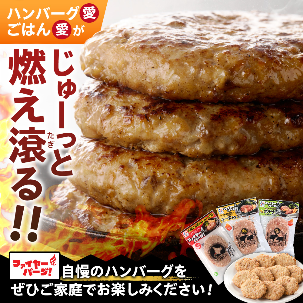 【定期便3回】ファイヤーバーグお試し定期便_is030-023-999