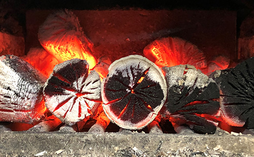 530029001 炭火自家焙煎珈琲(粉)100g+ドリップパック12g×8袋