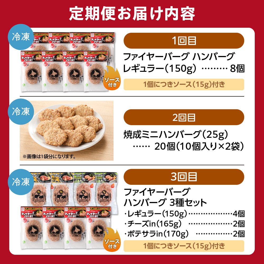 【定期便3回】ファイヤーバーグお試し定期便_is030-023-999