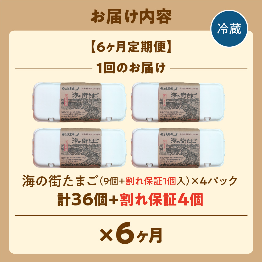 【定期便】飛ぶ鳥農場　海の街たまご　40個×6か月_is085-005-999