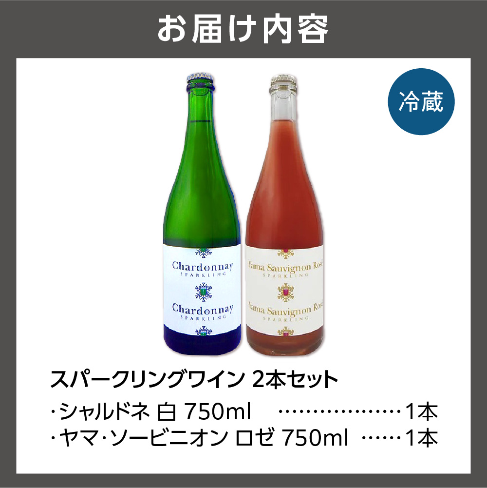 330009001 石狩市産ぶどうで作ったスパークリング 2本セット