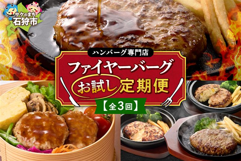 【定期便3回】ファイヤーバーグお試し定期便_is030-023-999