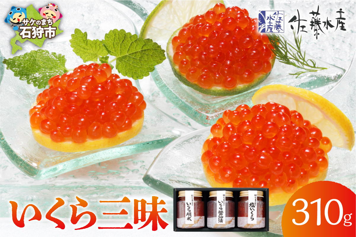 110272002 佐藤水産 いくら三昧