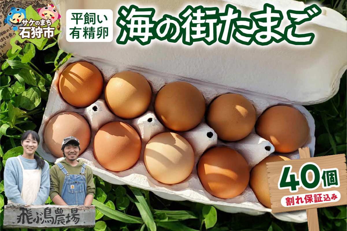 飛ぶ鳥農場　海の街たまご　40個_is085-001-000