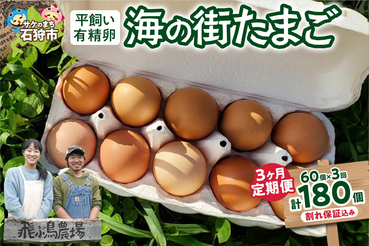 【定期便】飛ぶ鳥農場　海の街たまご　60個×3か月_is085-004-999