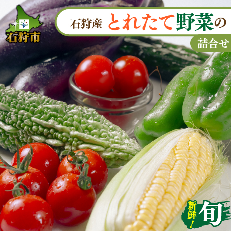 130084001 [先行予約受付中]石狩産 とれたて野菜の詰合せ(なす、きゅうり、ピーマン、ゴーヤ、