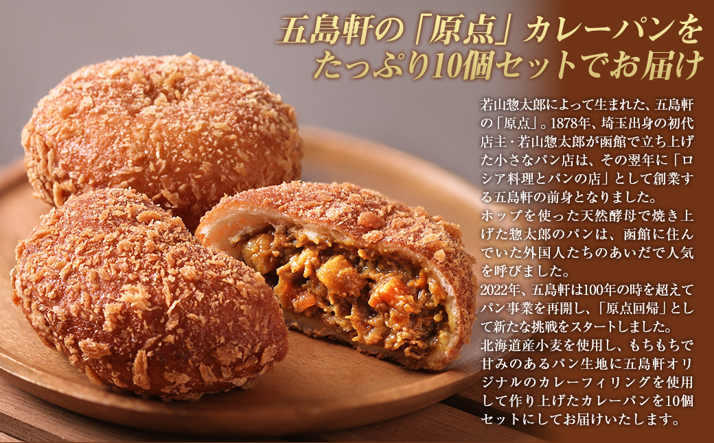 函館カレーパン10個セット HOKE019