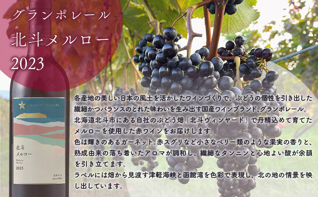 グランポレール　北斗メルロー2023　シャルドネ2024　各1本セット HOKJ012