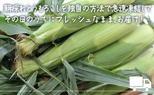 極☆凍結 北海道産スイートコーン HOKP001