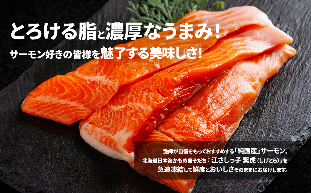 極☆凍結 北海道産 サーモン お刺身用ブロック 300g（90g～120ｇ×3P） HOKP006