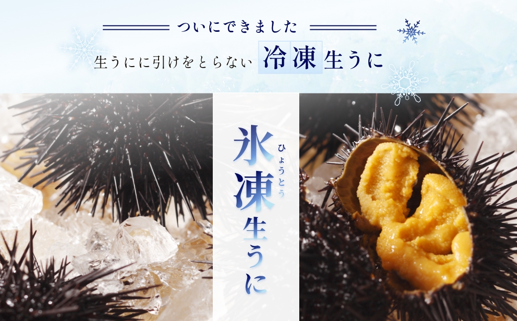 【12/21までの寄附で年内配送】「うにむらかみ」氷凍生うに(冷凍生うに)　70g×1枚 HOKT007