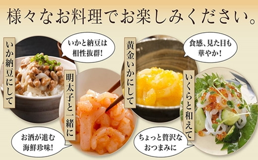 【道水 DOHSUI】いかそうめん5人前(刺身用イカソーメン)北海道 産地直送 HOKD004