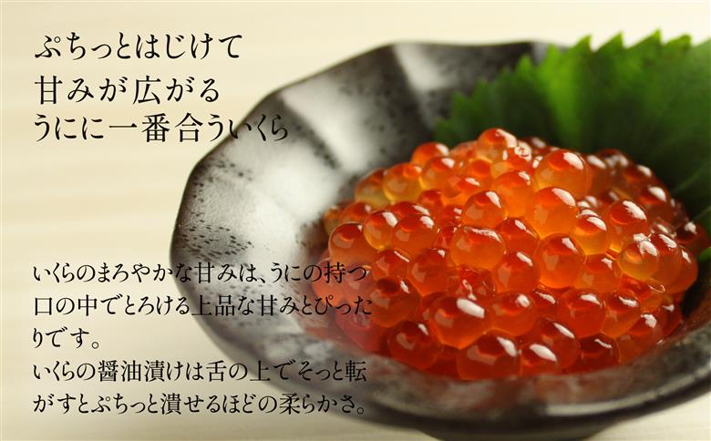 「うにむらかみ」うに屋のうに・いくらセット HOKT006