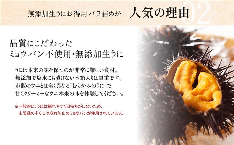 【12/16までの寄附で年内配送】「うにむらかみ」無添加生うにお得用バラ詰め250g HOKT003