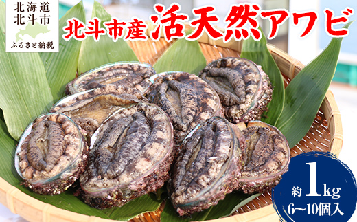 北斗市産 活天然アワビ 6～10個入 HOKAJ002