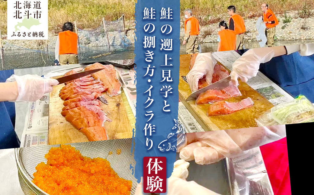 【ANA限定】10月限定‼ 鮭の遡上見学と鮭の捌き方・イクラ作り体験 HOKAP003