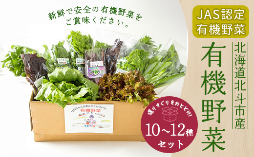 【JAS認定有機野菜】北斗市産 有機野菜10～12種類野菜セット 紙箱入(季節で種類が変わります) HOKB021