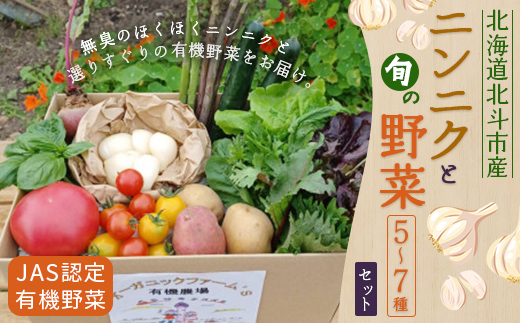 【JAS認定有機野菜】北斗市産 ニンニクと野菜5～7種類野菜セット 紙箱入(季節で種類が変更) HOKB022