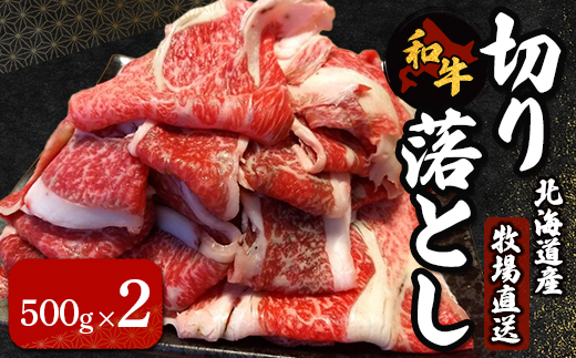 北海道産　牧場直送　和牛切り落とし　500g×2 HOKQ003