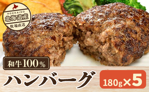 北海道産　牧場直送　和牛100％　ハンバーグ　180ｇ×5 HOKQ006