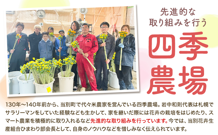 【1-280】チューリップ 切花 20本（2品種×各10本）四季農場《2月中旬-4月上旬頃出荷》北海道 当別町 花 お花 はな チューリップ 春 切り花 冷蔵便 北海道産 当別町産 インテリア