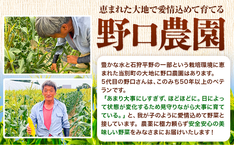【1.4-361】【令和7年産】【先行予約】野口農園 ななつぼし 5kg お米 北海道産 産地直送 ブランド米 ななつぼし 野口農園 《10月末～（新米収穫出来次第、出荷）》国産 精米 白米 米