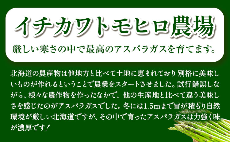 【1-2-70】とれたてグリーンアスパラLサイズ1kg【2026年先行受付】