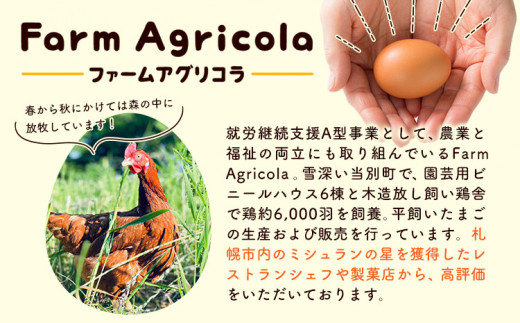 【1-23-38】こだわりの平飼いたまご食べ比べセット