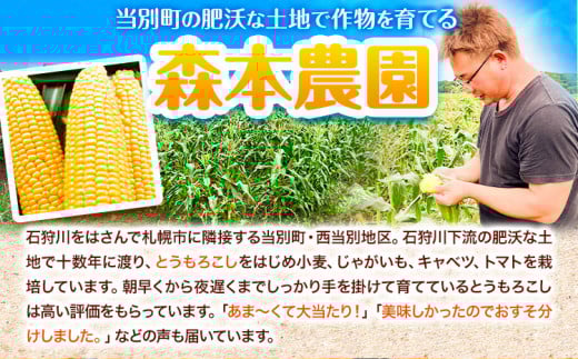【1-3-79】【2025年先行予約】森本農園じゃがいも15kgセット