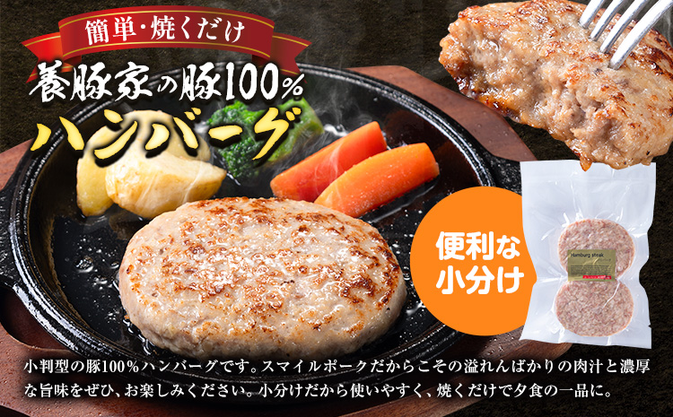 [0.95-307] 養豚家の豚100％ハンバーグセット 120g2枚入りパック×５セット計１０枚 豚肉 肉 厳選 国産 お取り寄せ グルメ おかず おすすめ スマイル ポーク 加工品 惣菜 簡単 冷凍 キャンプ BBQ