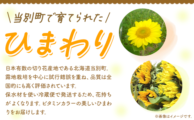 【1-284】【訳あり】ひまわり 切花 30本 黄色 オレンジ 四季農場《6月上旬-10月中旬頃出荷》北海道 当別町 花 お花 はな ひまわり 夏 切り花 冷蔵便 北海道産 当別町産 インテリア