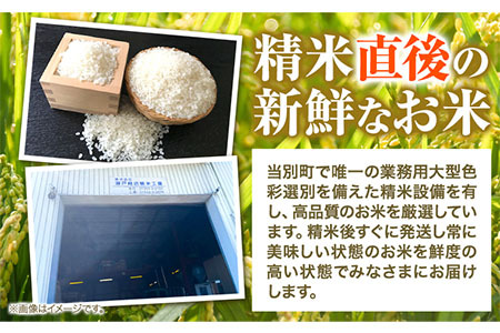 【1-2-360】令和6年度産 当別産米ななつぼし5kgお米 米 白米 精米 備蓄米 北海道産 当別町産 定番 産地直送 ふっくら ご飯 こめ 農家直送5kg ななつぼし ななつほし 瀬戸商店 ブランド米 特Aランク