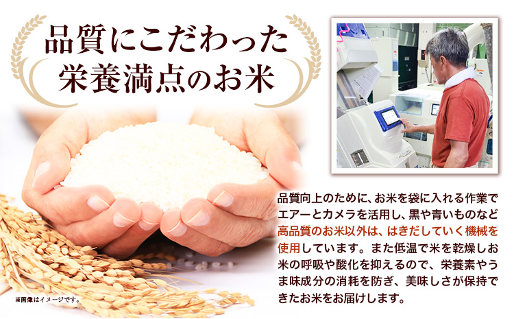 【1.4-361】【令和7年産】【先行予約】野口農園 ななつぼし 5kg お米 北海道産 産地直送 ブランド米 ななつぼし 野口農園 《10月末～（新米収穫出来次第、出荷）》国産 精米 白米 米