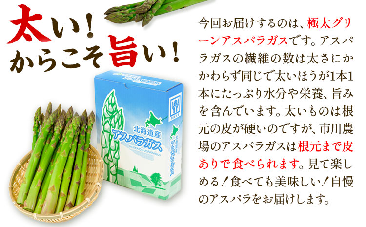 【1-6-69】【2026年先行】とれたて極太グリーンアスパラ1kg