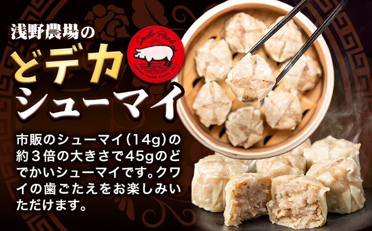 [4.5-309]　浅野農場どでかシューマイセット 計108個 6ヶ月定期便 | 豚肉 シューマイ しゅうまい どでかシューマイ 冷凍シューマイ 豚肉シューマイ