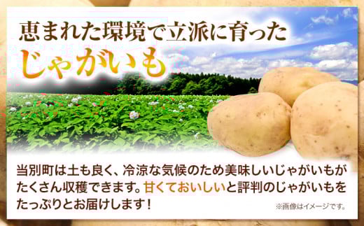 【1-3-79】【2025年先行予約】森本農園じゃがいも15kgセット