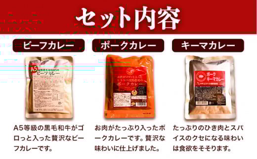 【1-48-35】黒毛和牛A5のビーフカレーとお肉がゴロっと入ったポークカレーとキーマカレーのセット