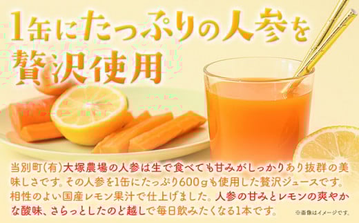 【1-7-107】大塚農場の特別栽培人参で作った　おいしさギュッあま『すなお人参ジュース』15本ギフトセット にんじん キャロット 国産 野菜ジュース レモン果汁入り 缶 15本 常温 お取り寄せ ギフト ドリンク