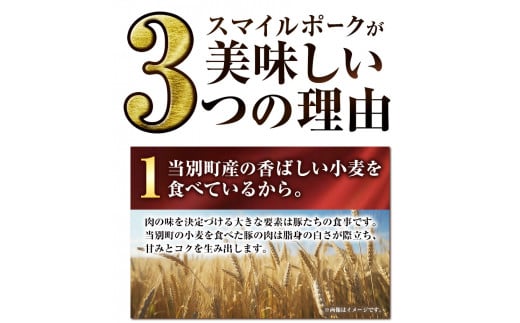 [0.75-24]　浅野農場どでかシューマイセット (45g×18個) | 豚肉 シューマイ しゅうまい どでかシューマイ 冷凍シューマイ 豚肉シューマイ