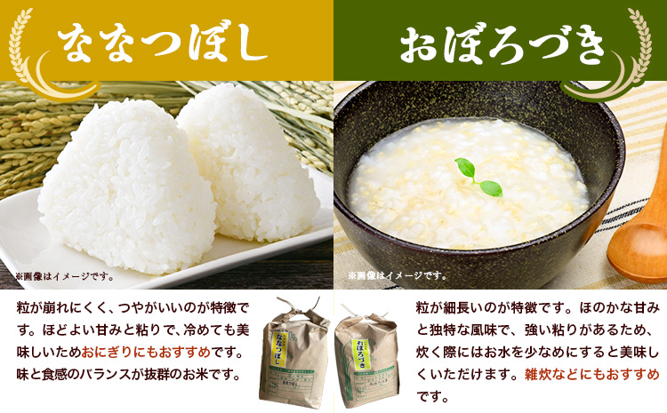 【2-6-48】【令和7年産先行予約】野口農園お米セット10kg「ななつぼし・おぼろづき」