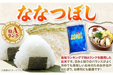 【1-2-360】令和6年度産 当別産米ななつぼし5kgお米 米 白米 精米 備蓄米 北海道産 当別町産 定番 産地直送 ふっくら ご飯 こめ 農家直送5kg ななつぼし ななつほし 瀬戸商店 ブランド米 特Aランク