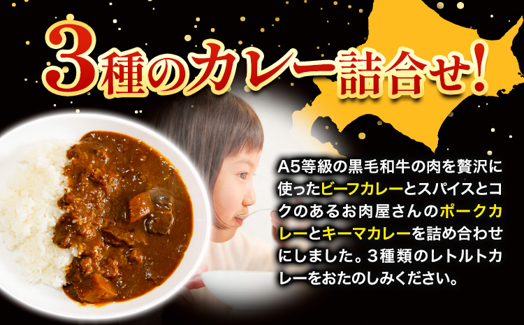 【1-48-35】黒毛和牛A5のビーフカレーとお肉がゴロっと入ったポークカレーとキーマカレーのセット