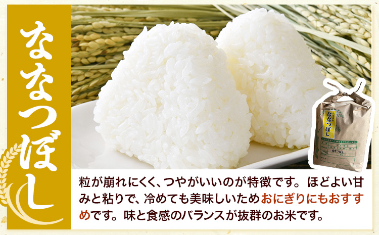 【1.4-361】【令和7年産】【先行予約】野口農園 ななつぼし 5kg お米 北海道産 産地直送 ブランド米 ななつぼし 野口農園 《10月末～（新米収穫出来次第、出荷）》国産 精米 白米 米
