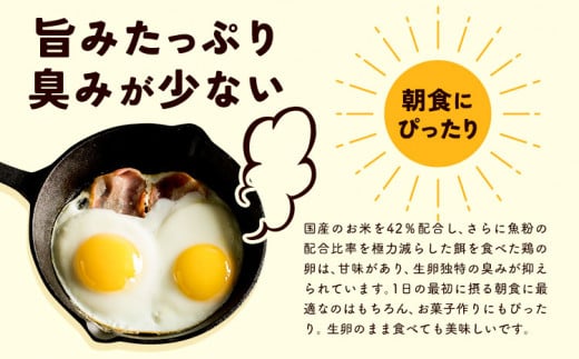 【1-23-38】こだわりの平飼いたまご食べ比べセット