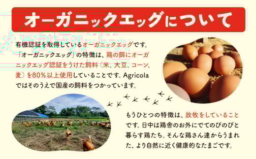 【1.33-39】究極の卵、オーガニックエッグを含む3種食べ比べセット