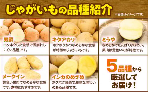 【1-3-79】【2025年先行予約】森本農園じゃがいも15kgセット