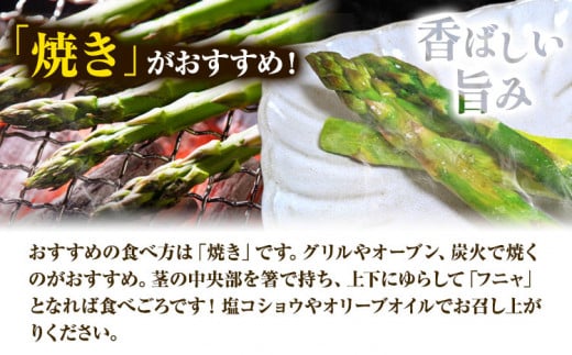 【1-2-70】とれたてグリーンアスパラLサイズ1kg【2026年先行受付】