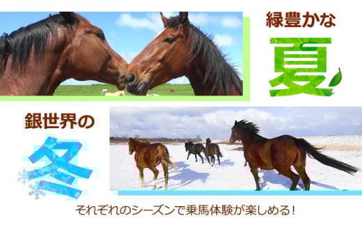 【4-45-177】石狩ホーストレック　体験乗馬