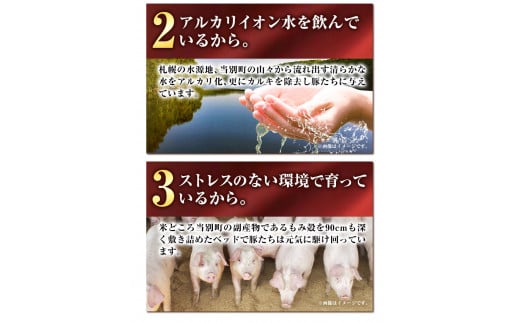 [0.75-24]　浅野農場どでかシューマイセット (45g×18個) | 豚肉 シューマイ しゅうまい どでかシューマイ 冷凍シューマイ 豚肉シューマイ